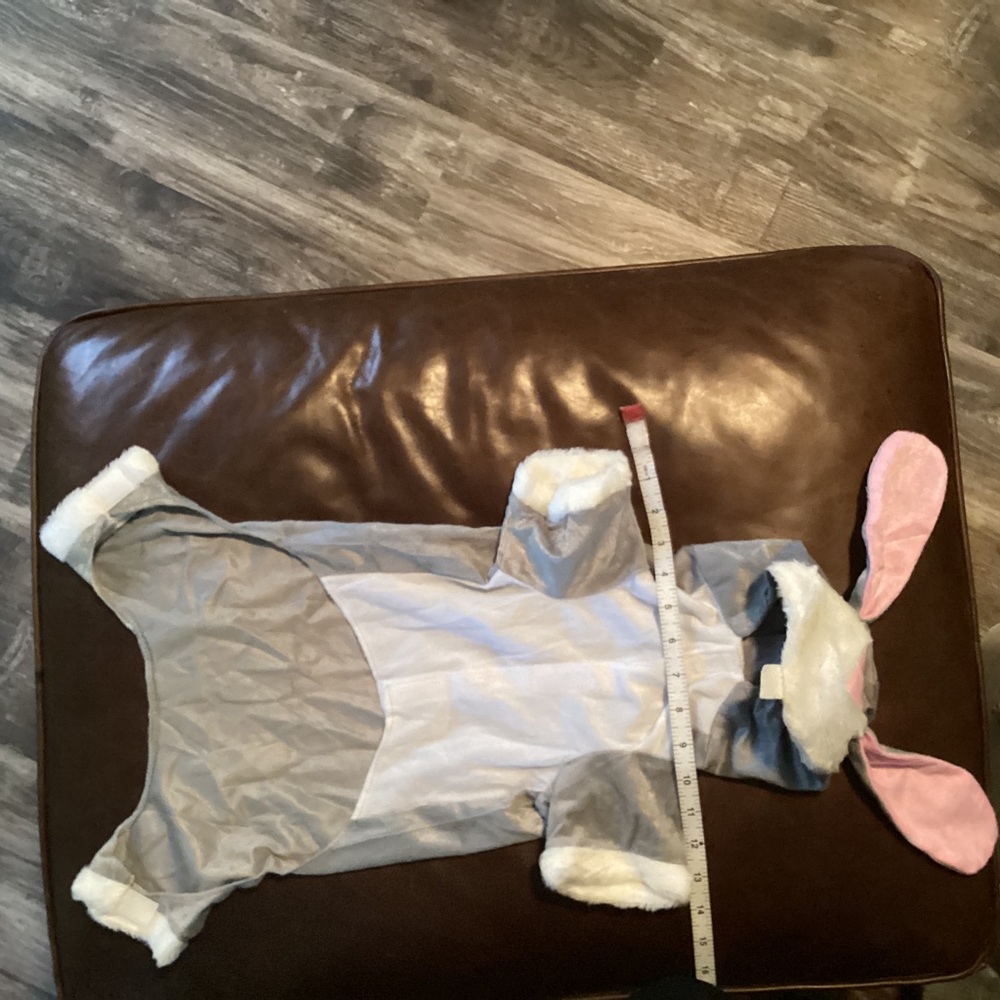 Bundle 2 for $10 - dog bunny costume